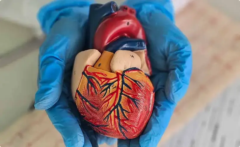 Private Cardiology Services in Coventry